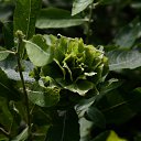 ���� Valkiria, ������ - ��������� 27 ���� 2015 � ������ ������ ��������