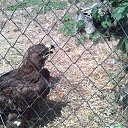 ���� ����, ������-��-����, 35 ��� - ��������� 12 ���� 2015 � ������ ���� ����������