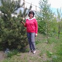 ���� ���������, ������ �����, 61 ��� - ��������� 7 �������� 2015 � ������ ���� ����������