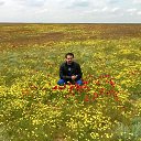 ���� ��� �����, ��������� - ��������� 28 ���� 2015 � ������ ����������