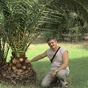 ���� ������, �����-���������, 62 ���� - ��������� 11 �������� 2015