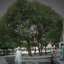 ������ ����� ������ �� ������� ���� ����������