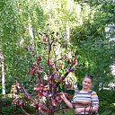 ���� �������, ��������, 45 ��� - ��������� 28 ��� 2015 � ������ ���� ����������