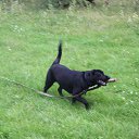 ���� �����, ������ �������� - ��������� 16 ������� 2015 � ������ ���� ����������