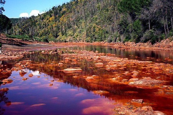   ().  - (Rio Tinto)        ... - 3