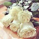 ���� �������, ��������, 39 ��� - ��������� 9 ������� 2015 � ������ ���� ����������