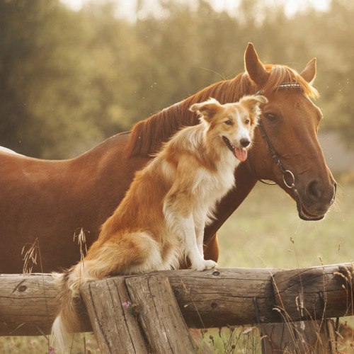 ����� ������� - 8 �������� 2015 � 18:30 - 5