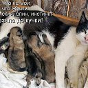 ���� ����, �����������, 41 ��� - ��������� 6 ������� 2015 � ������ ������ ��������
