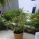 ���� �������, �����, 62 ���� - ��������� 10 ������� 2015 � ������ ��������� 2015�