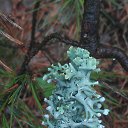 ���� �������, ���������, 54 ���� - ��������� 23 ��� 2015 � ������ ���������