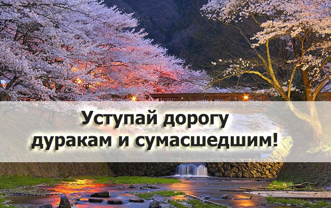 Anika - 21 ���� 2015 � 23:10 - 2