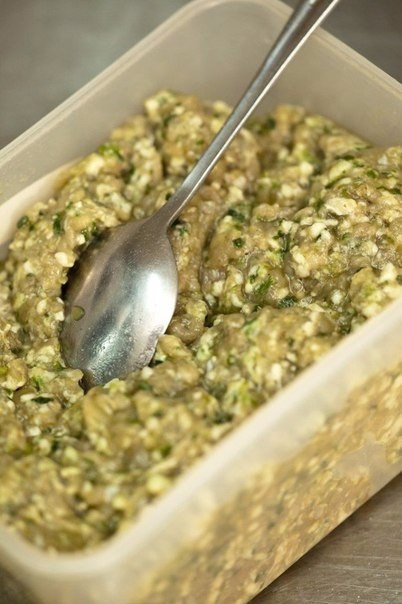 .   -    .  ,     ... - 5