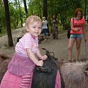 ���� �����, ������������, 33 ���� - ��������� 9 ���� 2015 � ������ ������ ��������