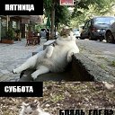 ���� Vit@liy, ������, 42 ���� - ��������� 30 ������� 2015 � ������ �1�