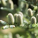 ���� Sergeyip, ������, 64 ���� - ��������� 14 ���� 2015 � ������ ���� ����������