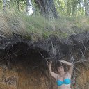  ,  -  30  2015    2015