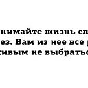 ���� ������, ������, 46 ��� - ��������� 31 ��� 2015 � ������ ������ ��������