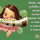 ���� �������, ������, 52 ���� - ��������� 10 ��� 2015 � ������ ������ ��������