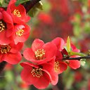 ���� ��������, ������������� - ��������� 29 ������� 2015 � ������ ���� ����������