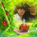  , , 48  -  28  2015    -  