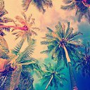 ���� ������, ������, 50 ��� - ��������� 28 ���� 2015 � ������ ���� �����������