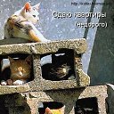 ���� �����, ������, 47 ��� - ��������� 2 ���� 2015 � ������ ���� ����������