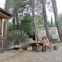 ���� ��������, ���� - ��������� 31 ���� 2015 � ������ ���������