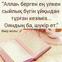 ���� ��������, ������, 34 ���� - ��������� 8 ���� 2015 � ������ ������ ��������