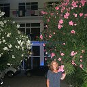  , , 56  -  2  2015    - 2015