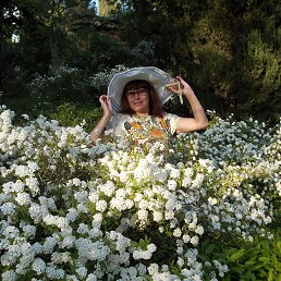 ������, �����������, 70 ���