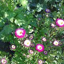 ���� H�������, ���������, 63 ���� - ��������� 11 �������� 2015 � ������ ������ ��������