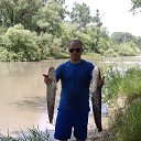 ���� ������, ������, 51 ��� - ��������� 21 ���� 2015 � ������ ���� ����������