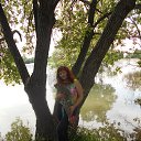  , , 46  -  5  2015   2015 