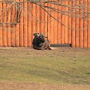 ���� ������, ������, 41 ��� - ��������� 30 ������ 2015 � ������ ������ ��������