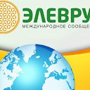 ���� ��������, ������� ��������, 37 ��� - ��������� 29 ���� 2015 � ������ ������ ��������