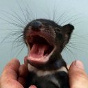 ���� ������, ��������, 53 ���� - ��������� 1 ��� 2015 � ������ ������ ��������