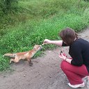 ���� �������, ����, 59 ��� - ��������� 16 ���� 2015 � ������ ���� ����������