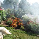 ���� ����, ������, 53 ���� - ��������� 19 �������� 2015 � ������ ����Ȼ