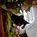 ���� �����, �����������, 61 ��� - ��������� 23 ������� 2015 � ������ ���� ����������