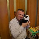 ���� �������, ������������, 65 ��� - ��������� 24 ������ 2015 � ������ ���� ����������