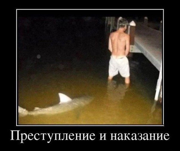    :-) - 14  2015  11:40