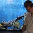 ���� ������, ������, 45 ��� - ��������� 12 ������� 2015 � ������ ���� ����������