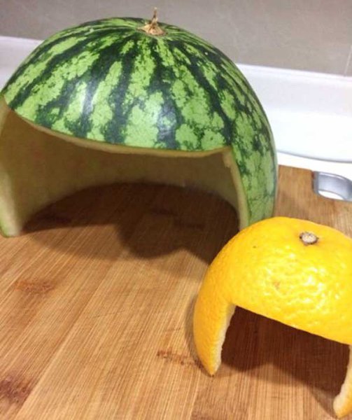 Наш хозяин идиот - 2