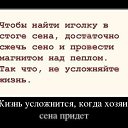 ���� ����, �������, 38 ��� - ��������� 28 ���� 2015 � ������ ������ ��������