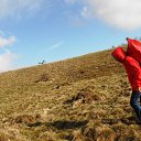 ���� �����, ����������� - ��������� 9 �������� 2015 � ������ �2�