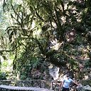 ���� �������, ������, 43 ���� - ��������� 22 ���� 2015 � ������ ���� ����������