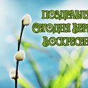 ���� �����, ������ �������� - ��������� 3 �������� 2015 � ������ �������� ��������