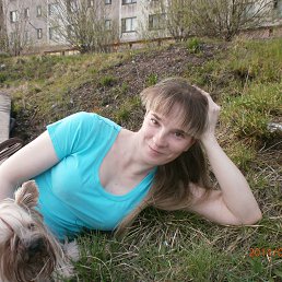 ���� ��������, �������, 42 ���� - ��������� 26 ��� 2015