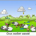 ���� ������, ������, 44 ���� - ��������� 13 �������� 2015 � ������ ���� ����������