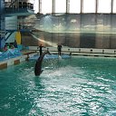 ���� ������, �����-���������, 70 ��� - ��������� 22 �������� 2015 � ������ �� ����������� �����-����������